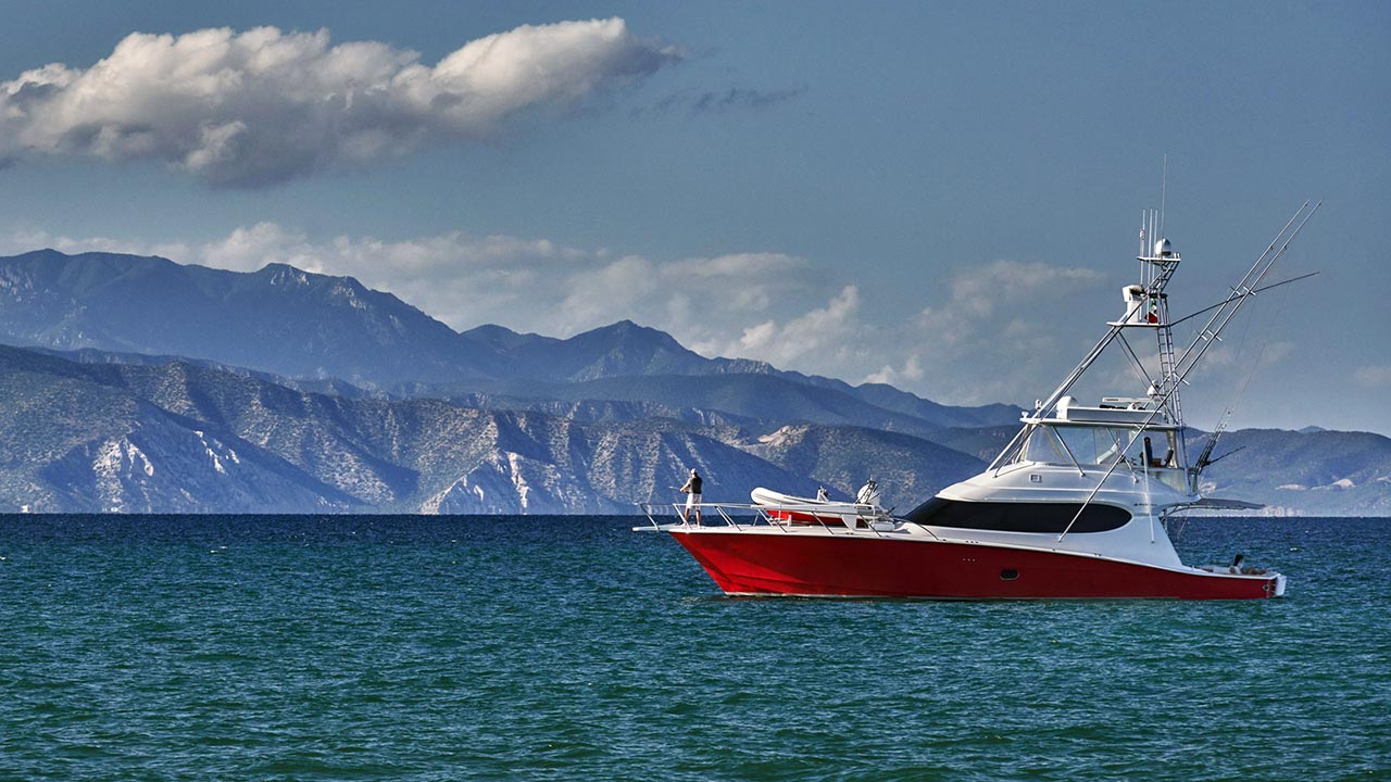 Fish the Rich Waters of the Sea of Cortez