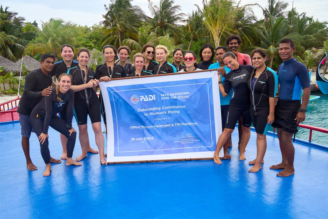 Celebrating Womens Diving