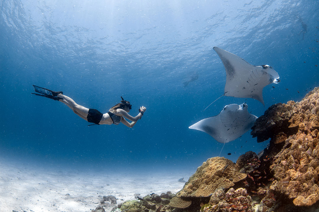 Trainee Marine Biologist Program