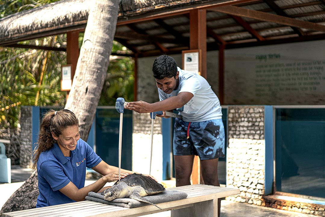 Turtle Rehabilitation Centre