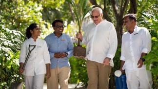 Project 100 Coconut Tree - Four Seasons Resort Maldives at Kuda Huraa Plants Seeds for a Sustainable Future