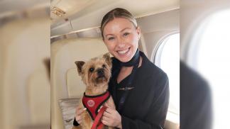 K9 JETS Introduces Pay-Per-Seat Private Jet Service for Luxurious Pet-Friendly Travel